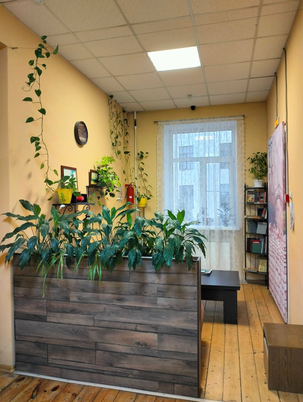 Гостиница Арк хостел Санкт-Петербург-85